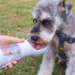Tragbare Haustier-Wasserflasche